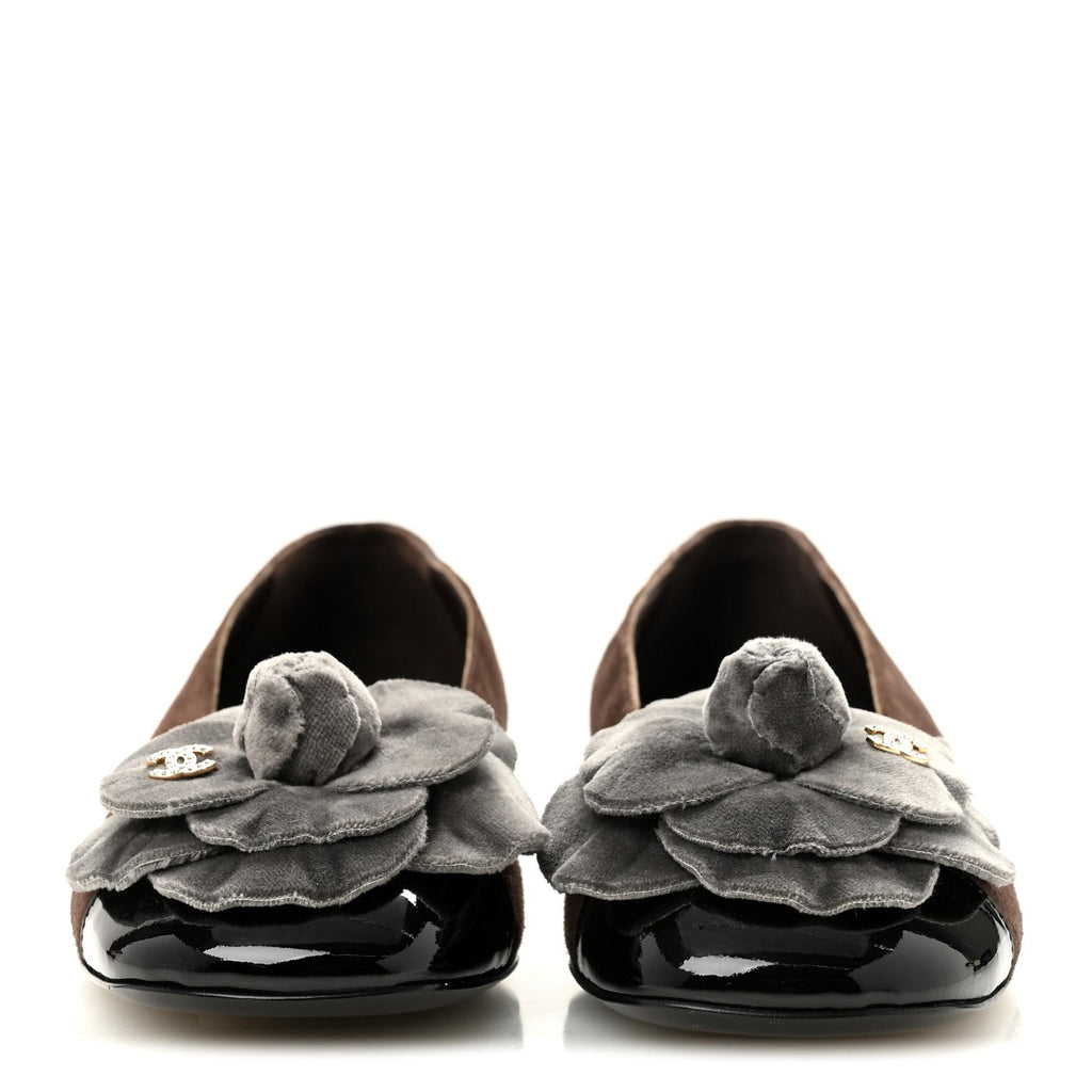 Suede Patent Cap Toe Camellia Ballerina Flats 37 Marron Gris