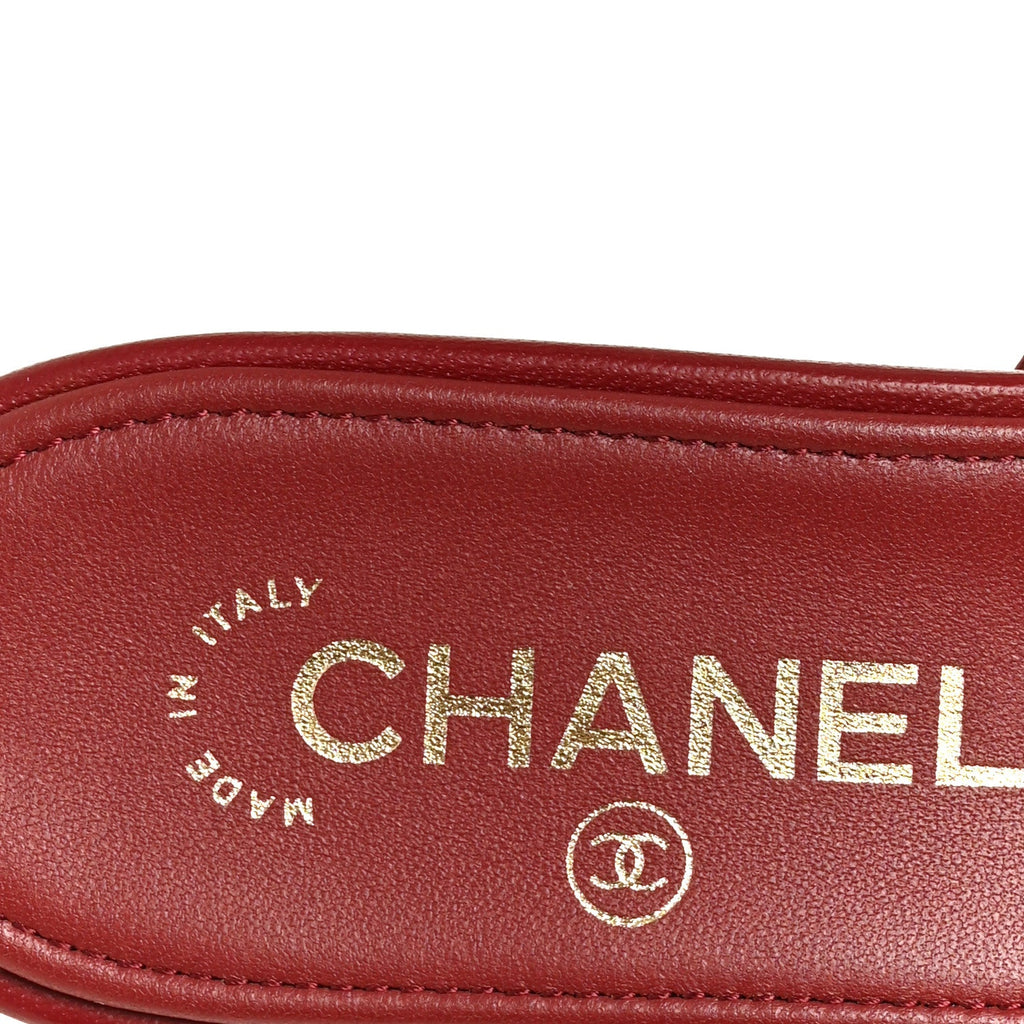 Lambskin CC Thong Sandals 38 Burgundy