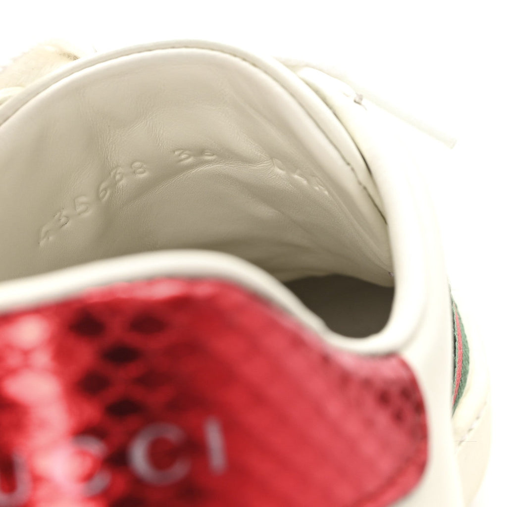 Calfskin Web Heart Embroidered Womens Ace Sneakers 36 White